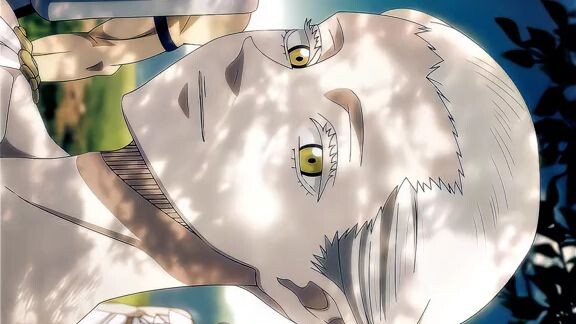 favorite anime black clover 🍀