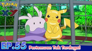 Pokémon the Series: XY  | EP55 Pertemuan Tak Terduga! | Pokémon Indonesia