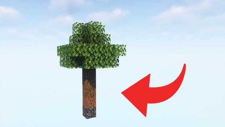 When the three sisters were tied to an empty island with only one grid...!