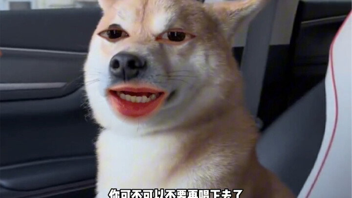 Doggy: Who's just like me?