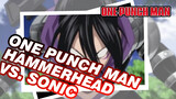 Hammerhead vs. Speed-o'-Sound Sonic | One Punch Man