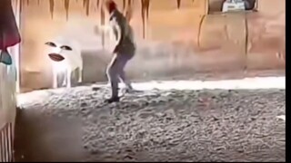 我错了哥