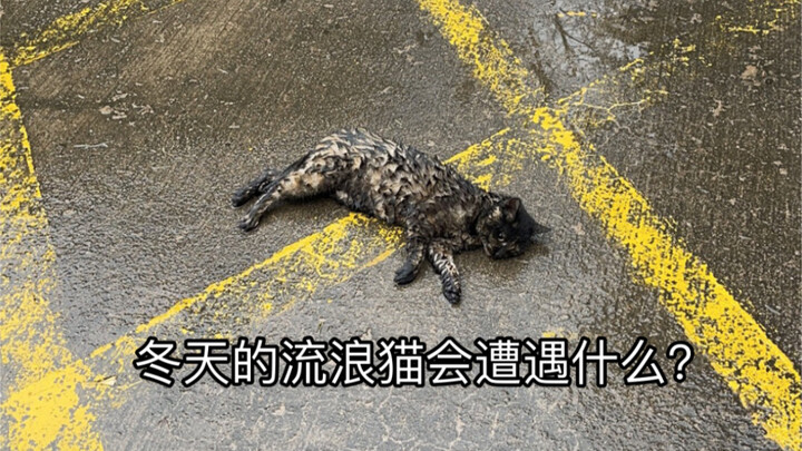 “I’m still young. I don’t want my life to end in the cold winter rain.”