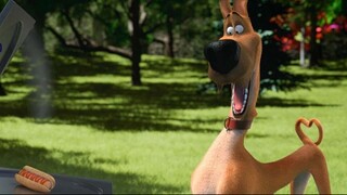 Watch  Marmaduke Full HD Movie For Free. Link In Description.it's 100% Safe