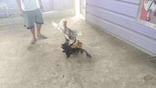 PASPASAN na eh🤣