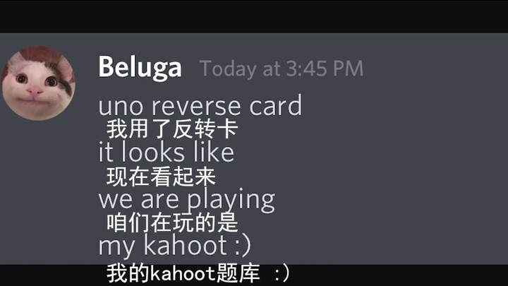 [เบลูก้าและเพื่อนๆ] ถึงเวลาตอบคำถามแล้ว! แต่คลังข้อสอบเป็นของแมวน้อย...