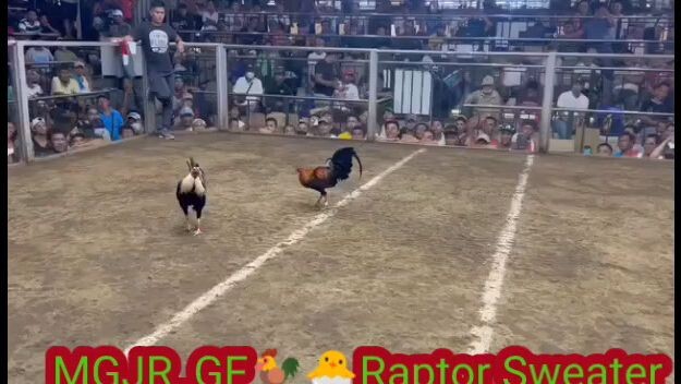 #pang bayad sa kuryenti at tubig pinusta na#putol ang ilaw at tubig😂😂#huli tayo mga idol😅