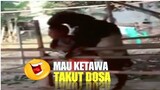 video lucu bikin ngakak | mau ketawa takut dosa 🤣 ~ hiburan warga+62 part 11