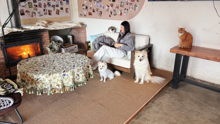 Boring Daily Life: It’s Time to Head to the Little Courtyard Again!