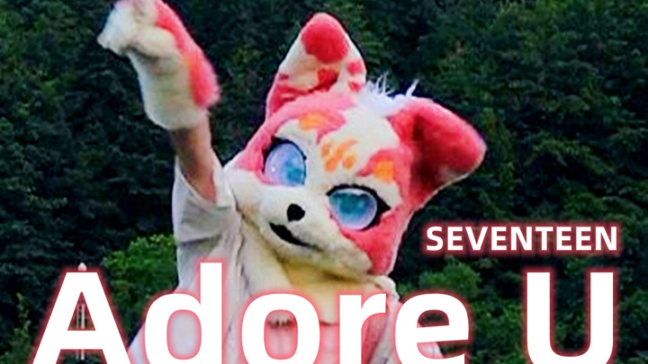 可爱小狗会成为你的珍爱吗～seventeen珍爱Adore U副歌翻跳！卡洛是克拉小狗嘿嘿~