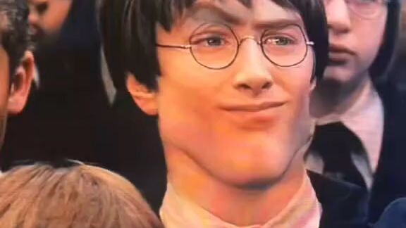 Harry Potter and the rizzlers stone 😂