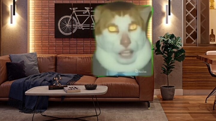 [Meme kucing] Mungkin aku masih sedikit kekurangan cinta...