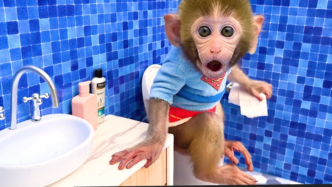 Monkey Baby Bon Bon eats Watermelon Jelly with puppies and bathes with  ducklings in the bathroom 