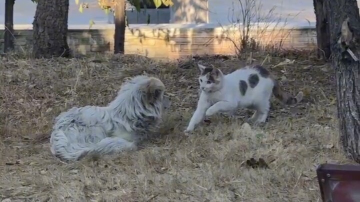 Let me see what’s going on.