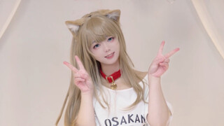 今天爪猫猫也没睡醒= =