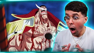 THE ONE PIECE IS REAL!!! | One Piece Marineford Episode 484 AND 485 Live Reaction!