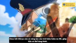 Monica Ingram chúa tể ngủ quên - Review - Những Hải Tặc Đáng Sợ Từng Bị Giam #anime #schooltime