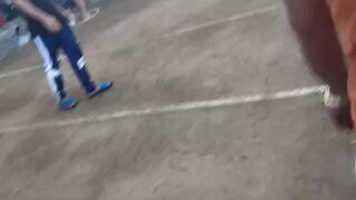 330k parada ng kalaban doblado ang tawagan .. 7700 lang naman sa amin..