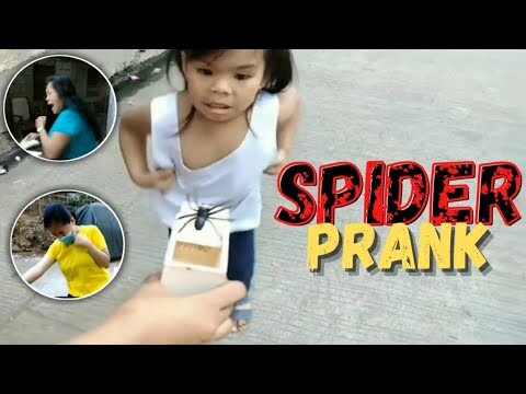 SPIDER PRANK