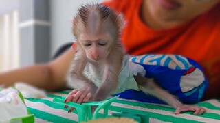 Time To Play!! Tiny adorable Luca is happily learning to hold & play with some toys around him