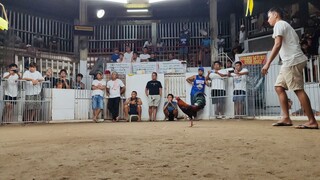 Blueface Berdugo  x Bruce Barnett Sweater