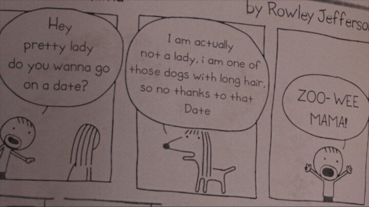 The Dog With Long Hair