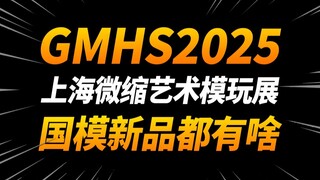 国模新品井喷!线上云逛展！GMHS2025上海国际微缩艺术模玩展【神田玩具组】