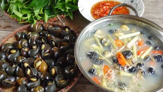 Thăm rắn ri cá bin nuôi. Lẩu ốc bươu nấu mẻ - Bin Đen Miền Tây # 278