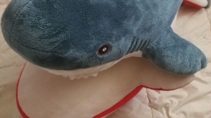 داها يو وسكاتي فقط كانا يلعبان الشطرنج، أو هكذا أظن.