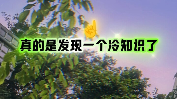 Trà hoa nhài cũng có tác dụng như vậy à
