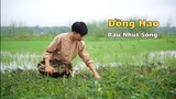 Rau Nhút Món Ăn Miền Sông Nước | Vlog 7 | Đồng Hao
