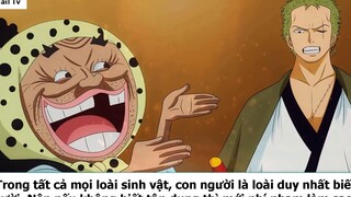 Tại sao Zoro lại ngất xỉu- 2