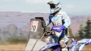 Quad Yamaha Raptor 700 in Dakar Desert Rally. 7240 team
