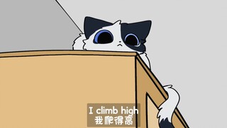 【自设/手书】这个世界是属于小猫皇帝的