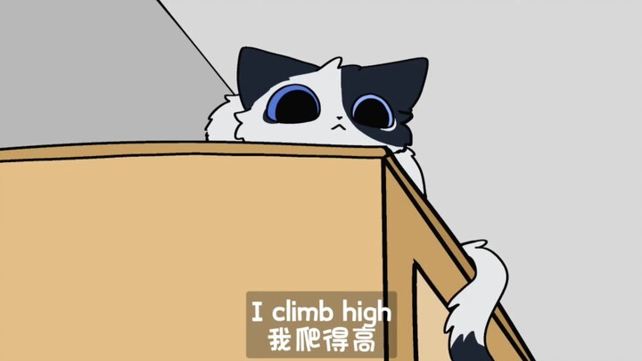 【自设/手书】这个世界是属于小猫皇帝的