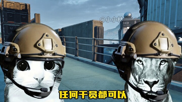 Anh Chuột có thể đổi sang balo nhỏ hơn được không? – Ấm áp Tết mới: Sư Tử và Mèo Con – Anh Chuột – D