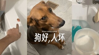 أيها البشر اللئام، لا تظنوا أنكم تستطيعون خداعي!!!