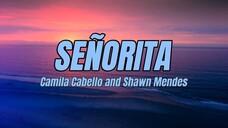 Shawn Mendes, Camila Cabello - Señorita (Lyrics)