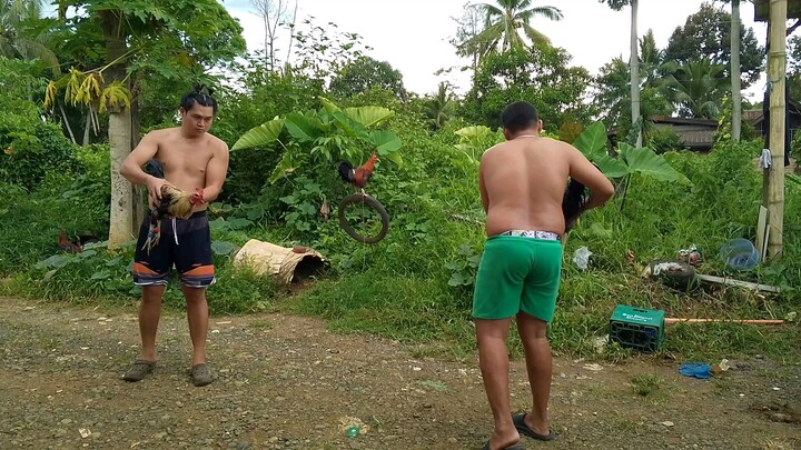 Dangray vs Duke Hulsey Grey