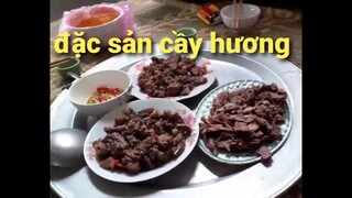 Ẩm thực Biển. Đặc sản thịt cầy hương Làm bốn món ngon tê người