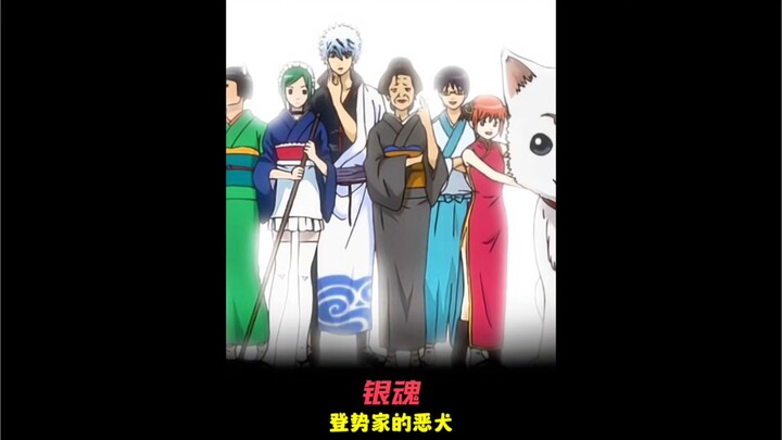 Toshi's Mean Dog #Gintama #Anime Commentary