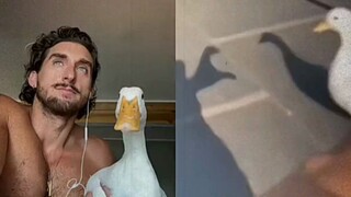 Vịt Vịt: Sao phim hoạt hình lại biến thành phim kinh dị vậy?