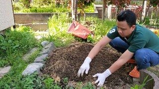 Làm Đất Trồng Dưa Leo | Út Đạt | Cuộc Sống Nhật #263