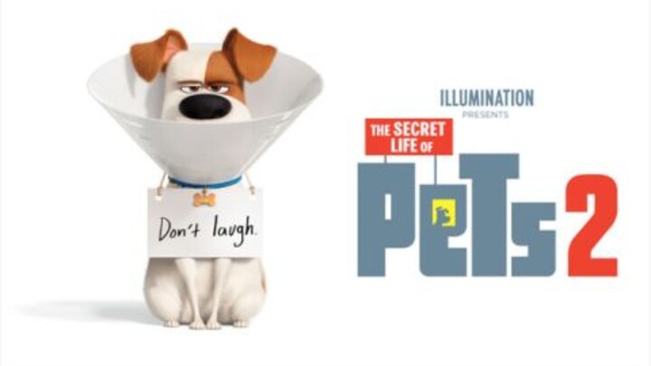 The Secret Life of Pets 2 (2019)