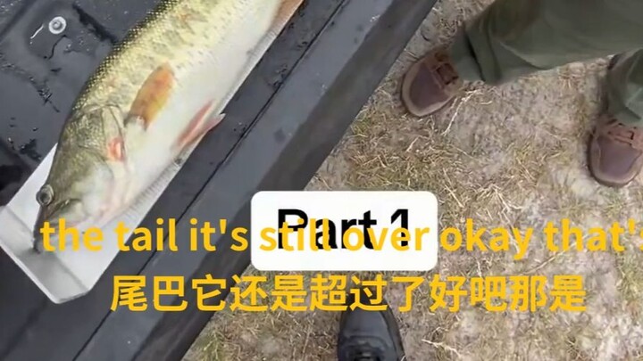 In the U.S., a man “broke the law” while fishing after being stopped by authorities for carrying fis