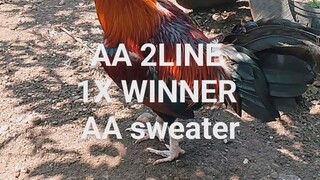 AA 2LINE 1X WINNER AA sweater