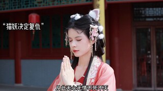 “那就跟这只千年的猫咪许个愿，祝我们暴富吧”【圣微】