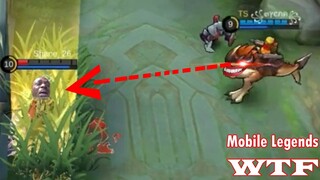 Mobile Legends WTF | Funny Moments Barats BUG