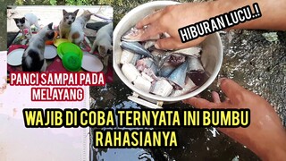 Coba Nonton..Ternyata Begini Resep Masak Ikan Untuk Kucing Supaya Sehat | Cara Masaknya Bikin Ngakak