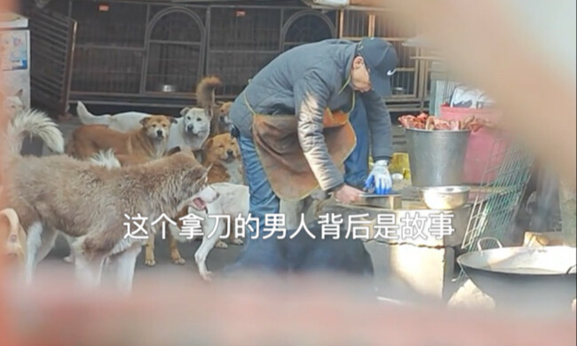 Over 2,000 dogs and more than 100 cats! It's hard to imagine how this elderly person managed to keep